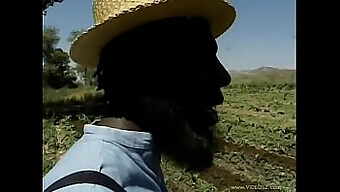 Casal Amish Encontra Prazer No Monte De Feno